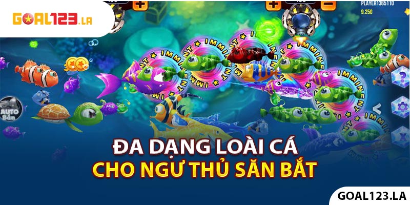 Đa dạng loài cá cho ngư thủ săn bắt