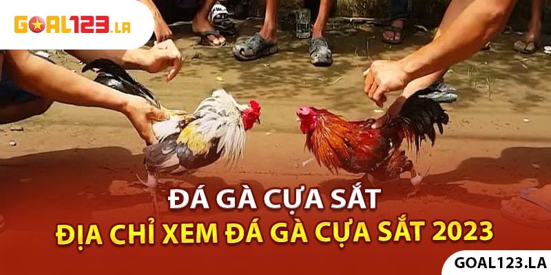 Đá gà cựa sắt – Địa chỉ xem đá gà trực tiếp 2023