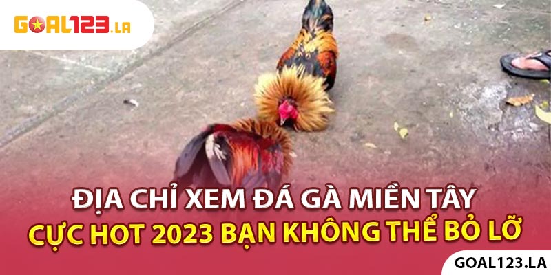 Địa chỉ xem đá gà miền tây cực hot 2023 bạn không thể bỏ lỡ