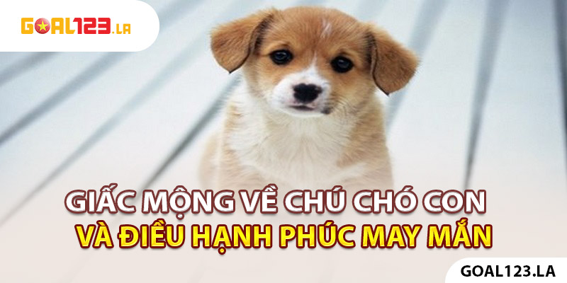 Giấc mộng về chú chó con và điều hạnh phúc may mắn