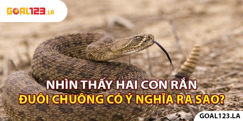 Nhìn thấy hai con rắn đuôi chuông có ý nghĩa ra sao?