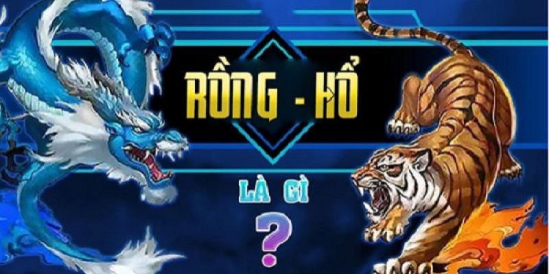 Cần chuẩn bị trước tinh thần để cược Dragon Tiger hiệu quả