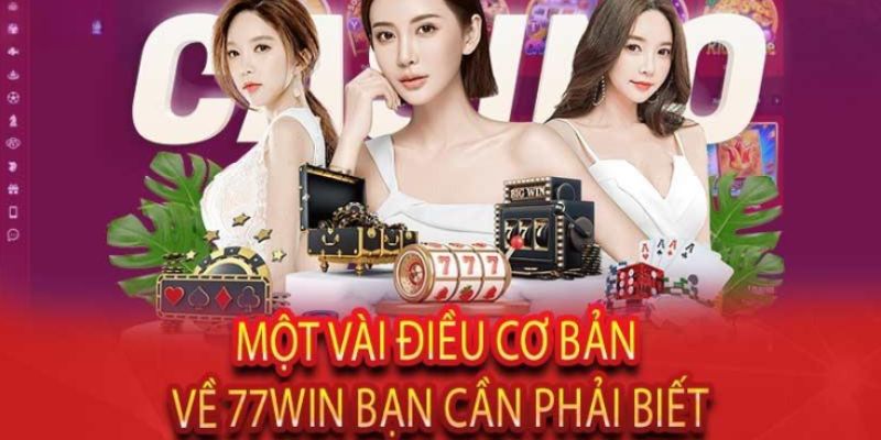 Tổng Hợp Hướng Dẫn 77WIN Dành Cho Anh Em Tân Thủ 