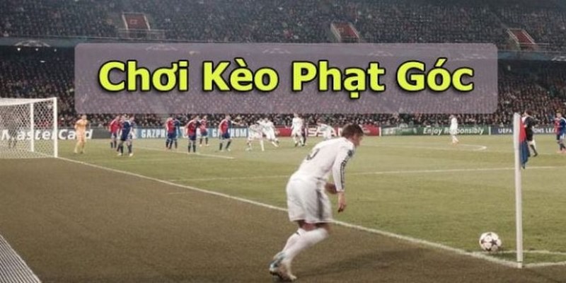 Kèo Phạt Góc - Những Thông Tin Cược Thủ Cần Biết Khi Cá Độ