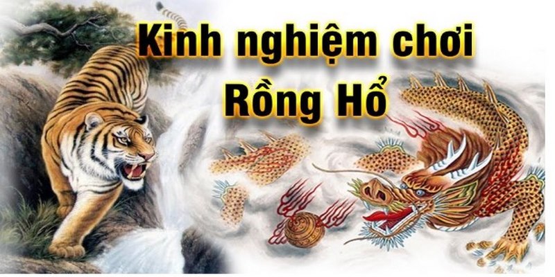 Luật Chơi Rồng Hổ - Cập Nhật Hướng Dẫn Chi Tiết Từ A - Z